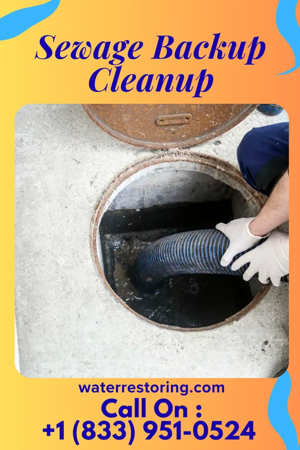 Sewage Backup Cleanup in Marshfield, IN